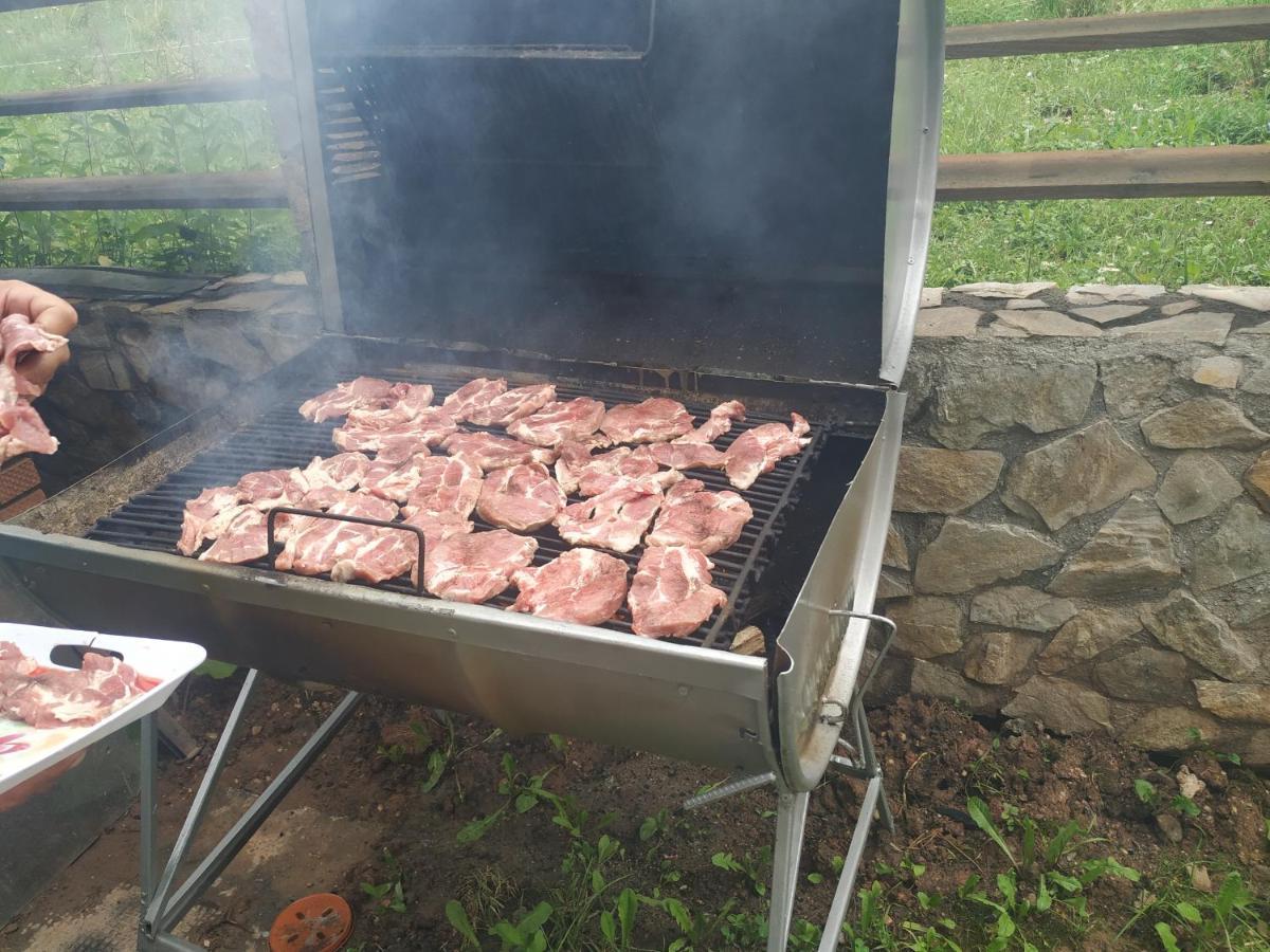 Pensiunea Carma Certeju de Sus Luaran gambar