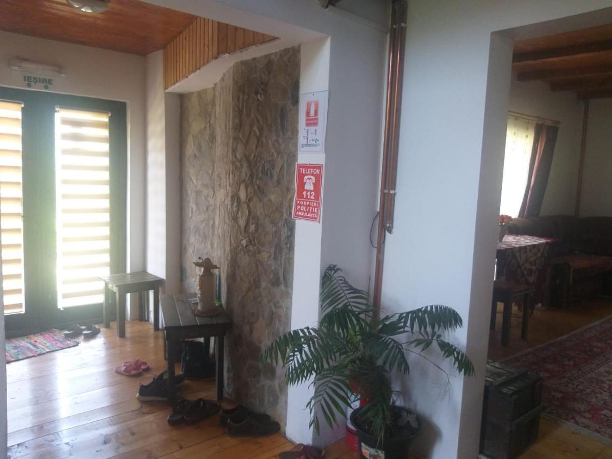 Pensiunea Carma Certeju de Sus Luaran gambar