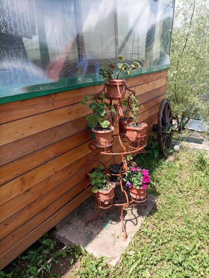 Pensiunea Carma Certeju de Sus Luaran gambar