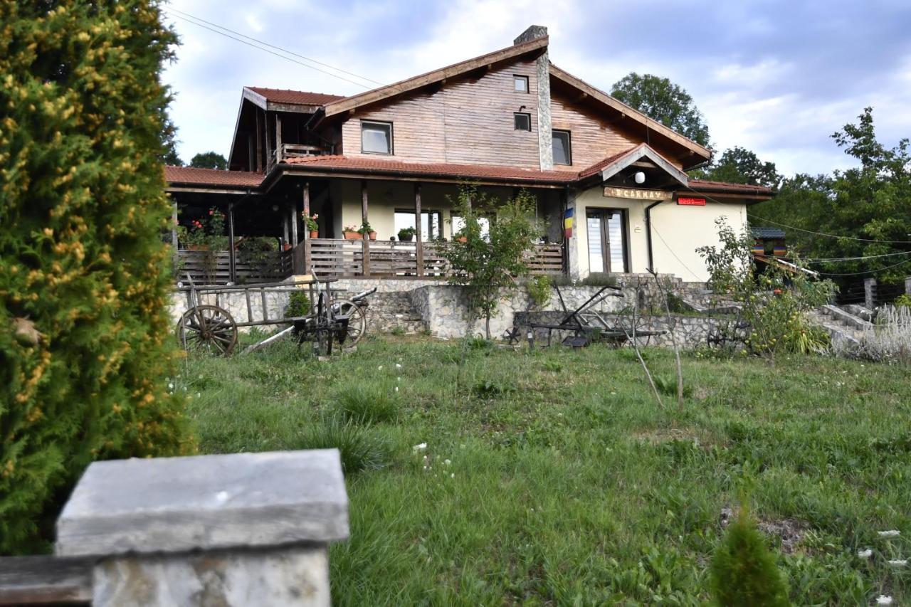 Pensiunea Carma Certeju de Sus Luaran gambar