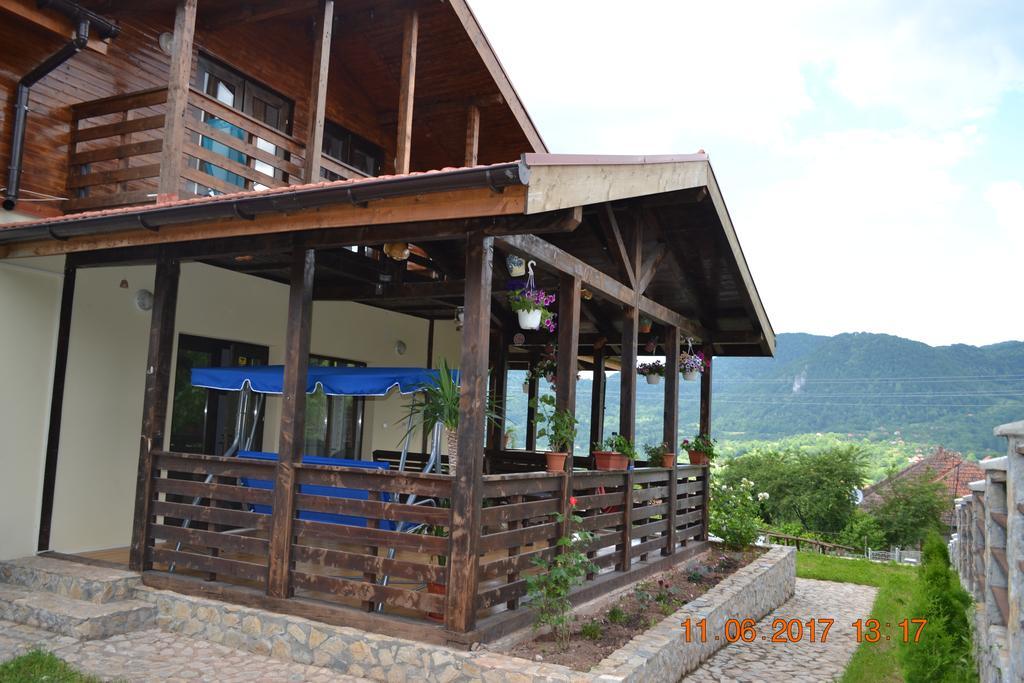 Pensiunea Carma Certeju de Sus Luaran gambar