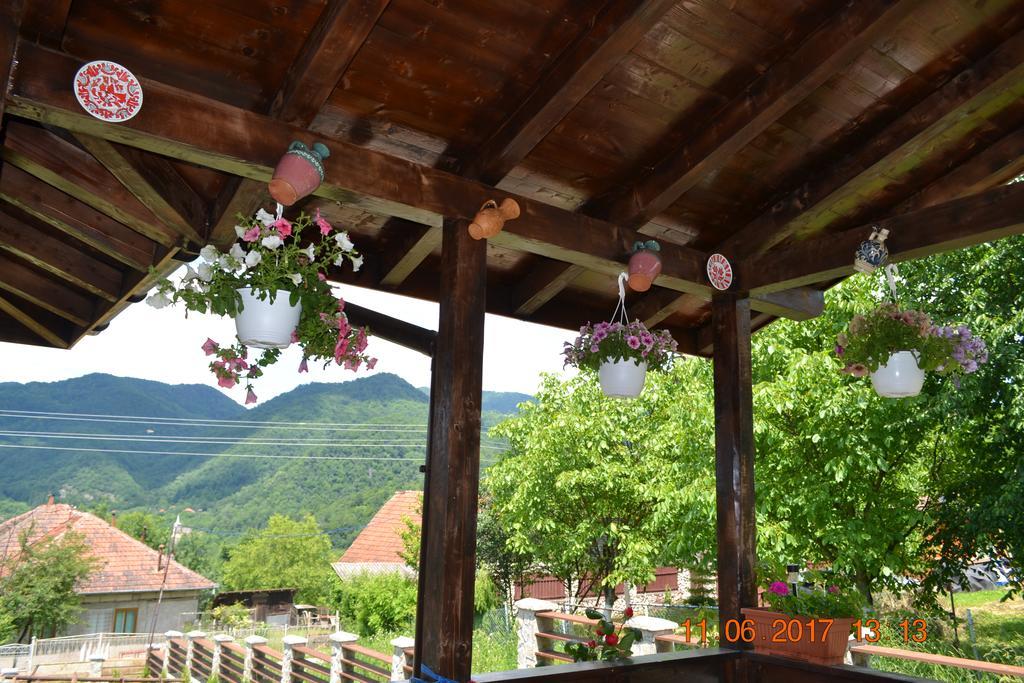 Pensiunea Carma Certeju de Sus Luaran gambar